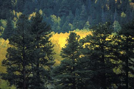 arizona_az_030