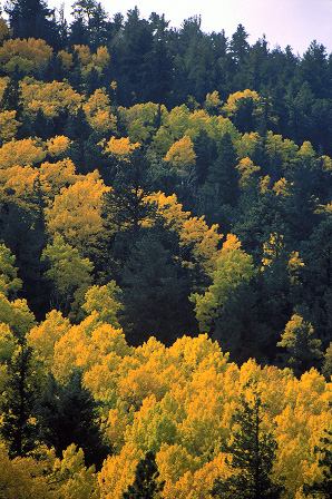 arizona_az_034