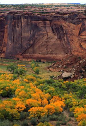 arizona_az_052