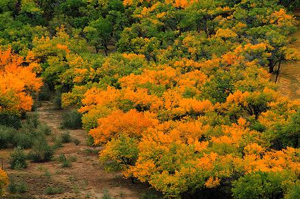 arizona_az_065