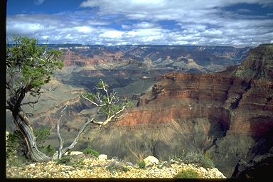 arizona_az_124