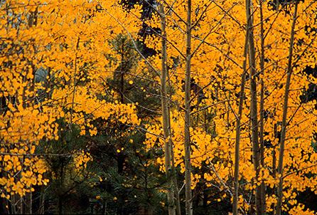 arizona_az_152