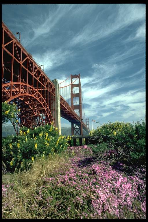 san_francisco_47