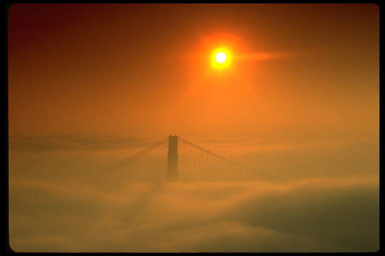 san_francisco_50