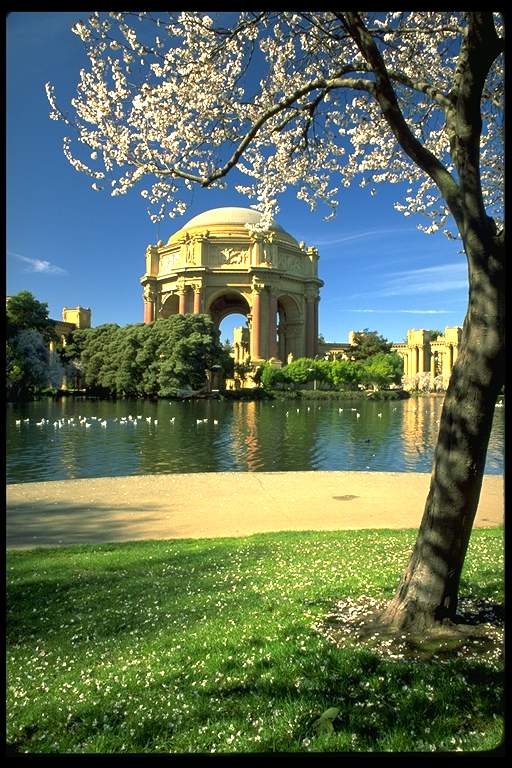 san_francisco_73