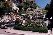 san_francisco_04 (1)