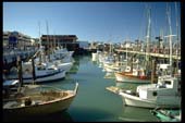 san_francisco_36