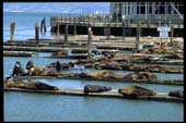 san_francisco_46