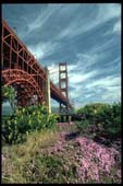 san_francisco_47
