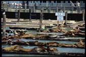 san_francisco_48