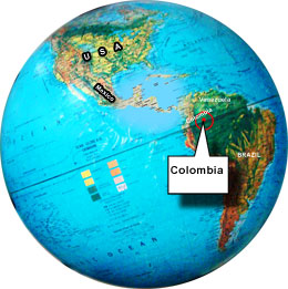 location map of columbia on the globe