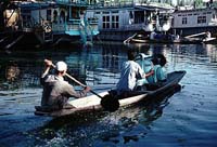 Dal kashmir