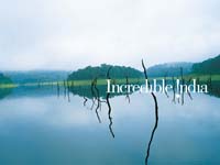 Backwaters Kerala
