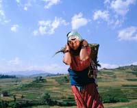 nepal