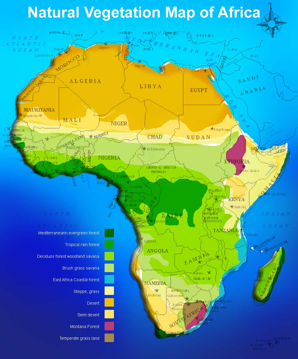 natural-vegetation map africa