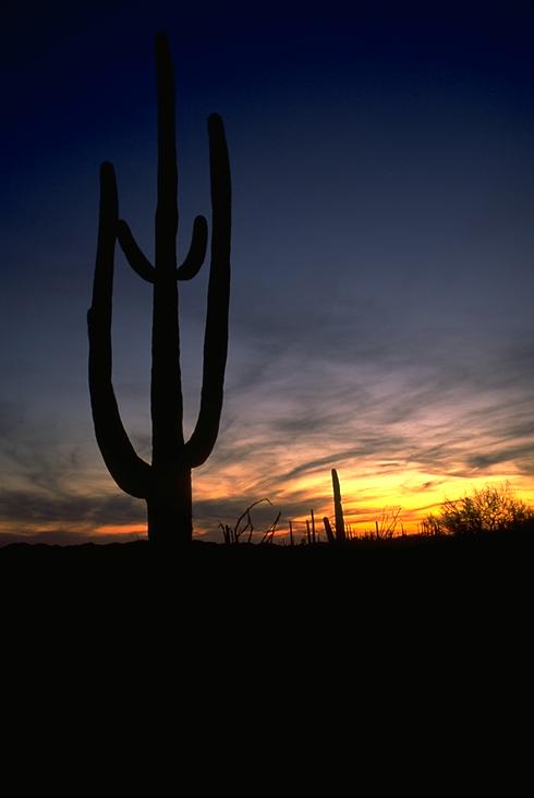 arizona_az_121